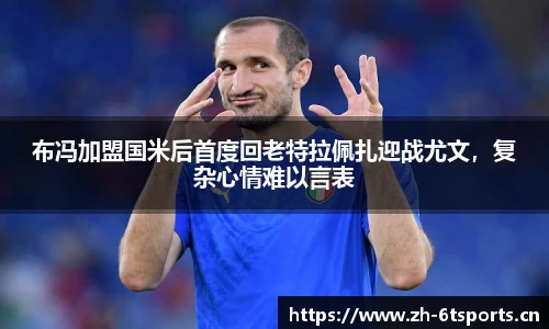 6t体育