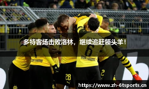 6t体育平台