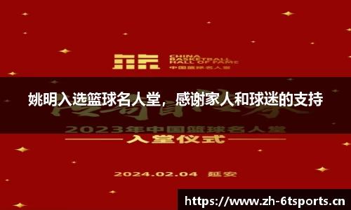 6t体育官网