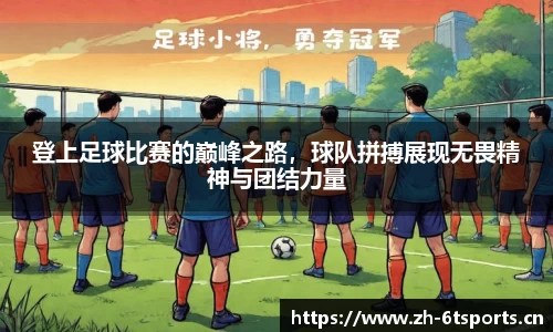 6t体育官方网站