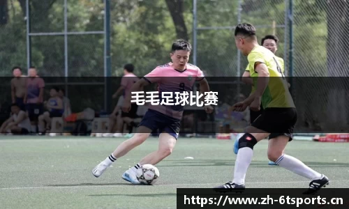 6t体育平台