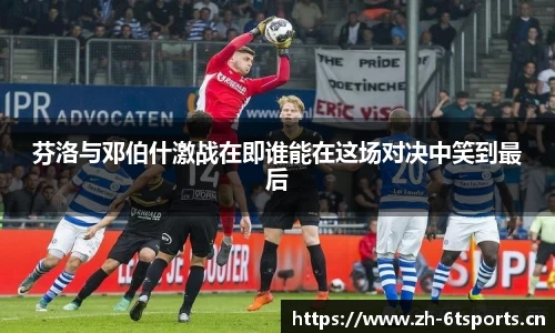 6t体育官网
