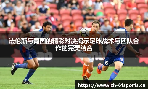 6t体育官网